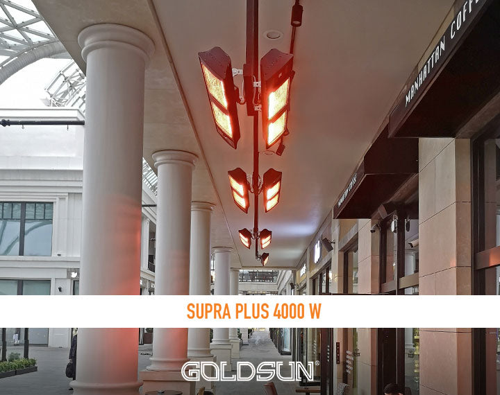 GOLDSUN